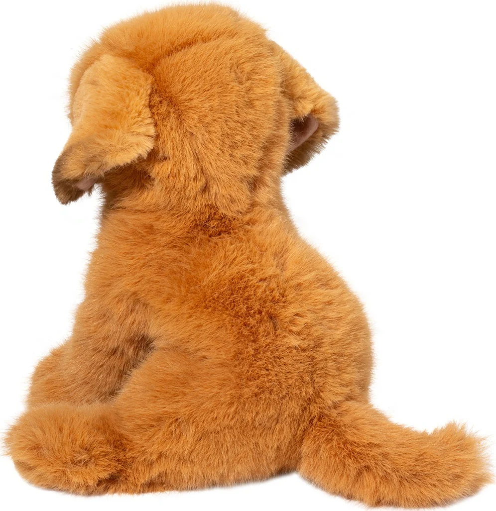 August Golden Retriever - Image 4