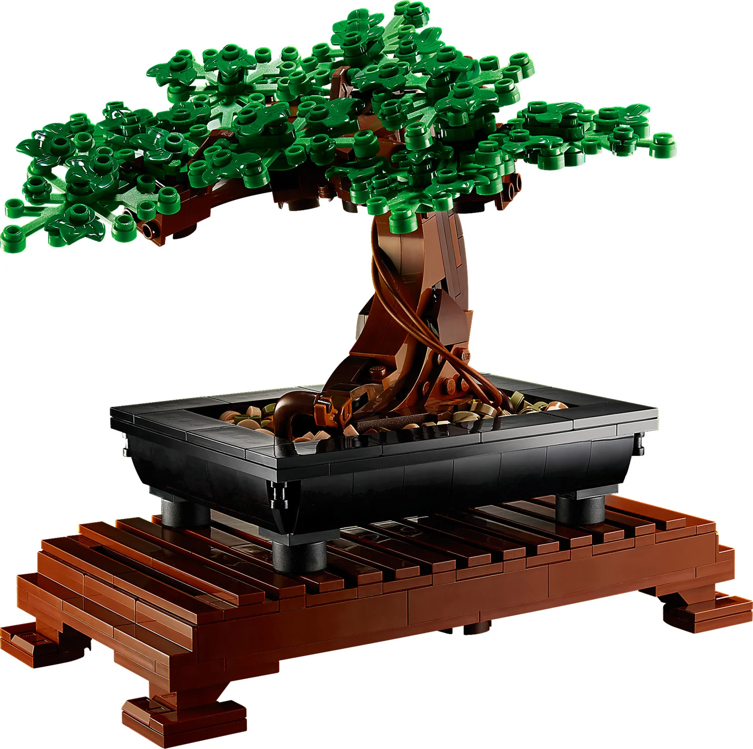 Bonsai Tree - Image 2