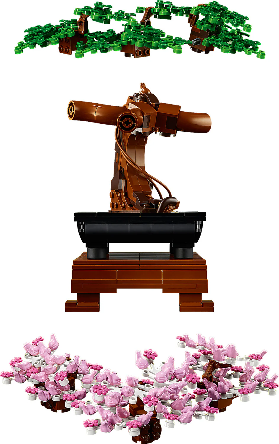 Bonsai Tree - Image 4