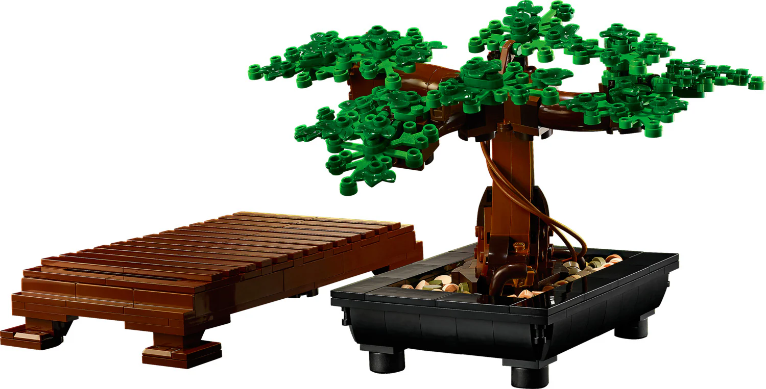 Bonsai Tree - Image 6
