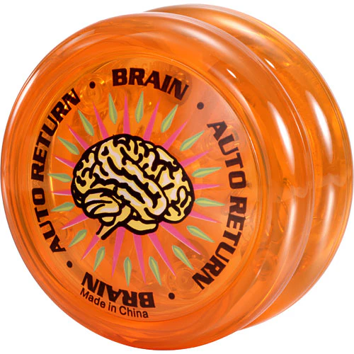 Brain - Image 3