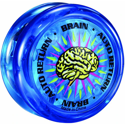 Brain - Image 4