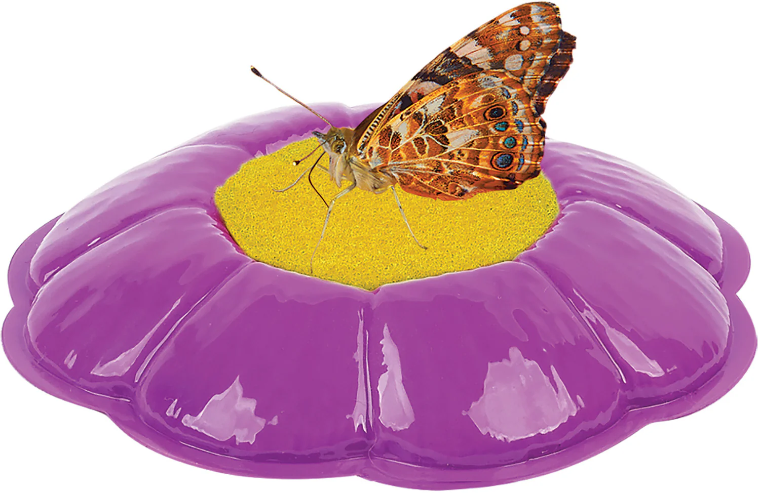 Butterfly Garden - Image 4