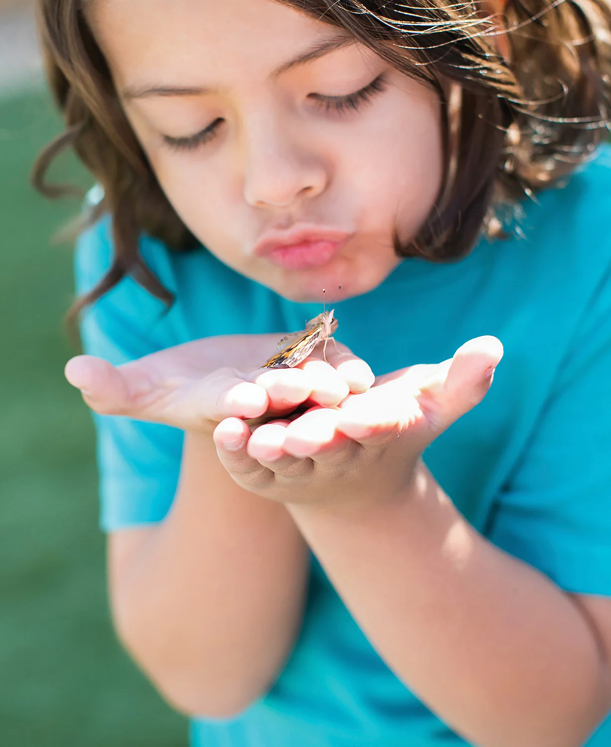 Butterfly Garden - Image 5