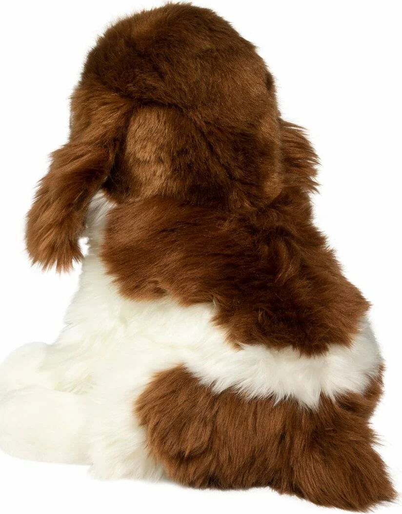 Chip Springer Spaniel - Image 3