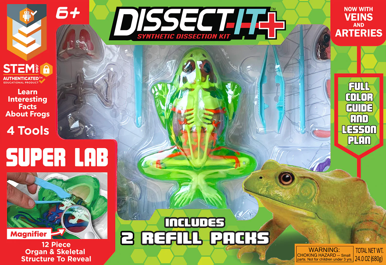 Dissect-It - Frog Super Lab - Image 6