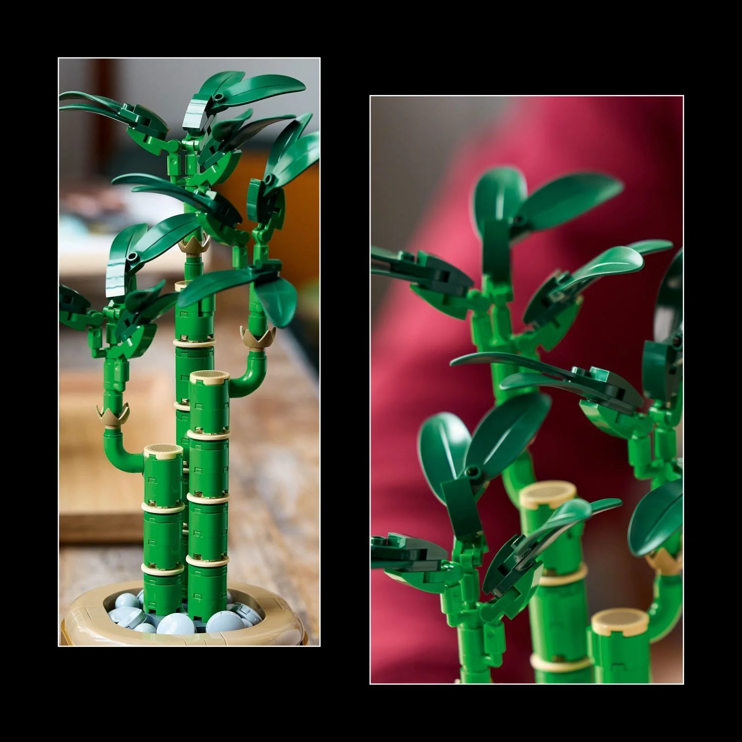 LEGO Botanicals: Lucky Bamboo - Image 5