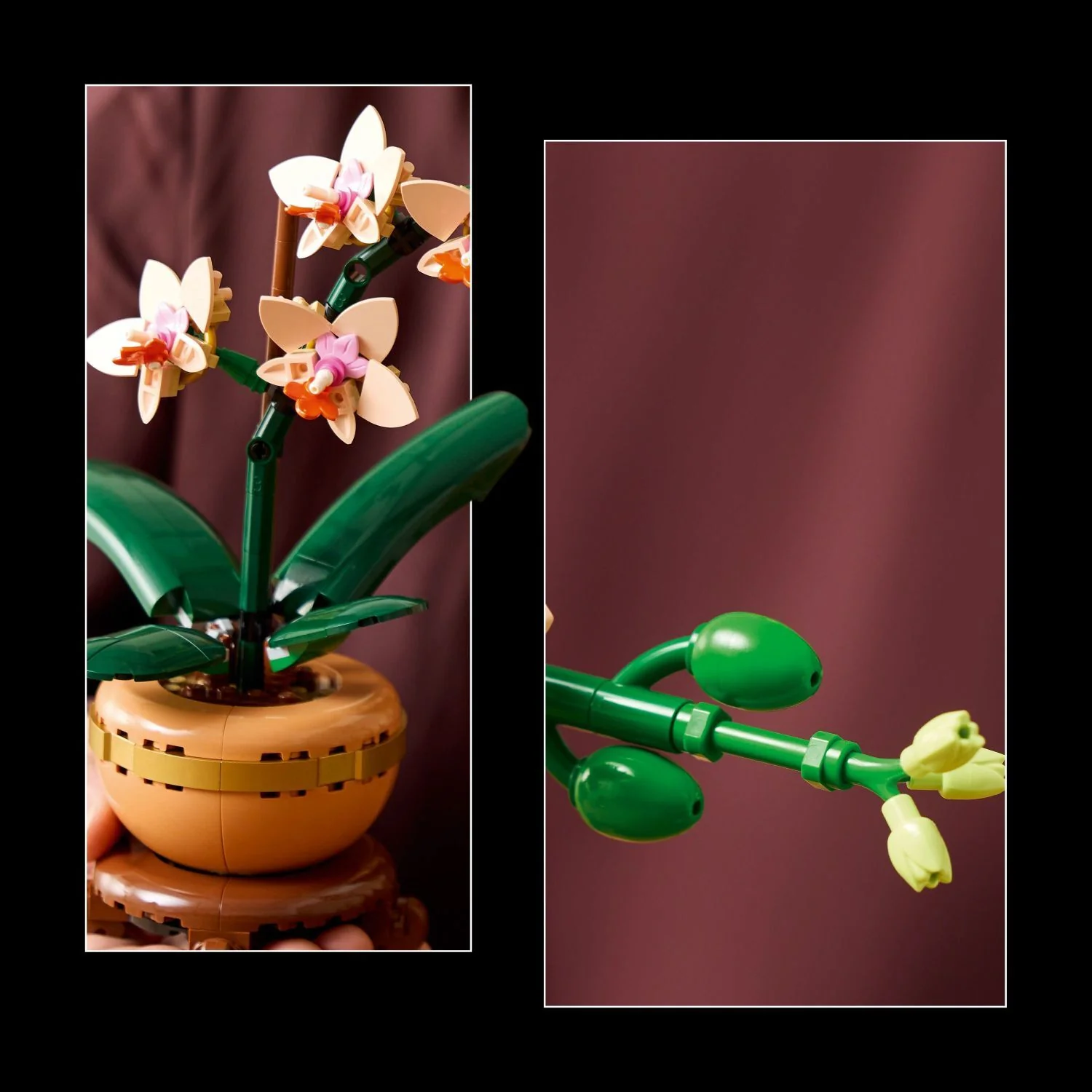 LEGO Botanicals: Mini Orchid - Image 5