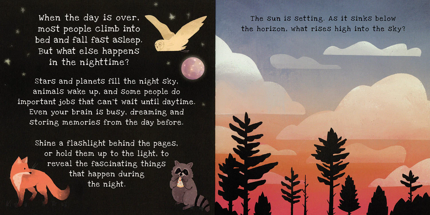 Nighttime A Shine-A-Light Book - Image 2