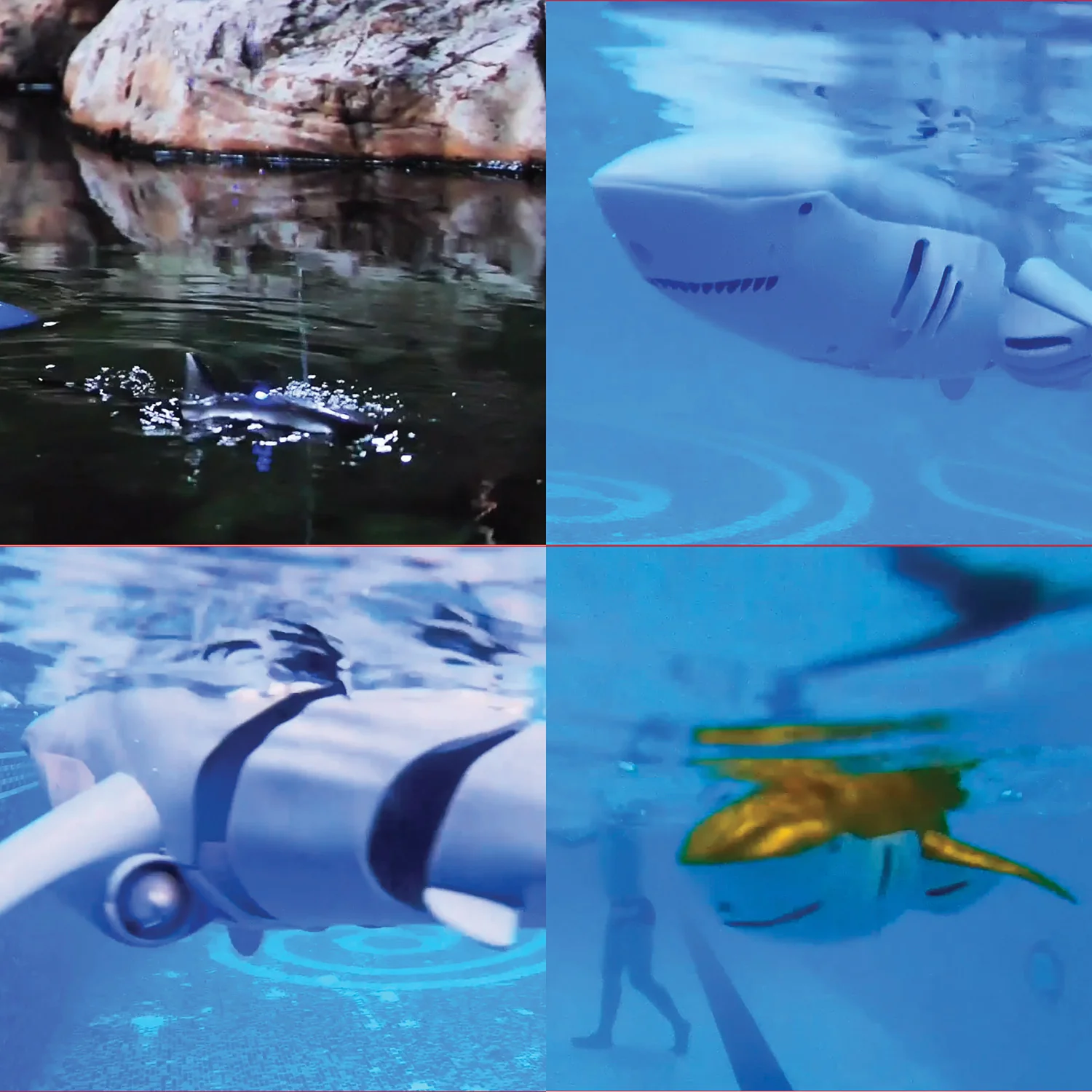 RC Shark - Image 4