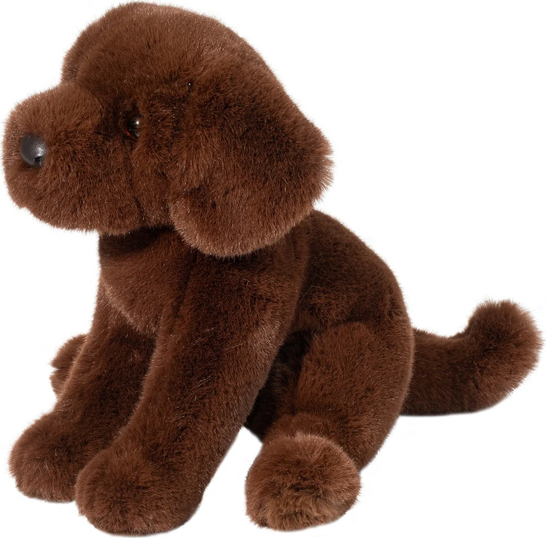 Zoom Chocolate Lab - Image 2