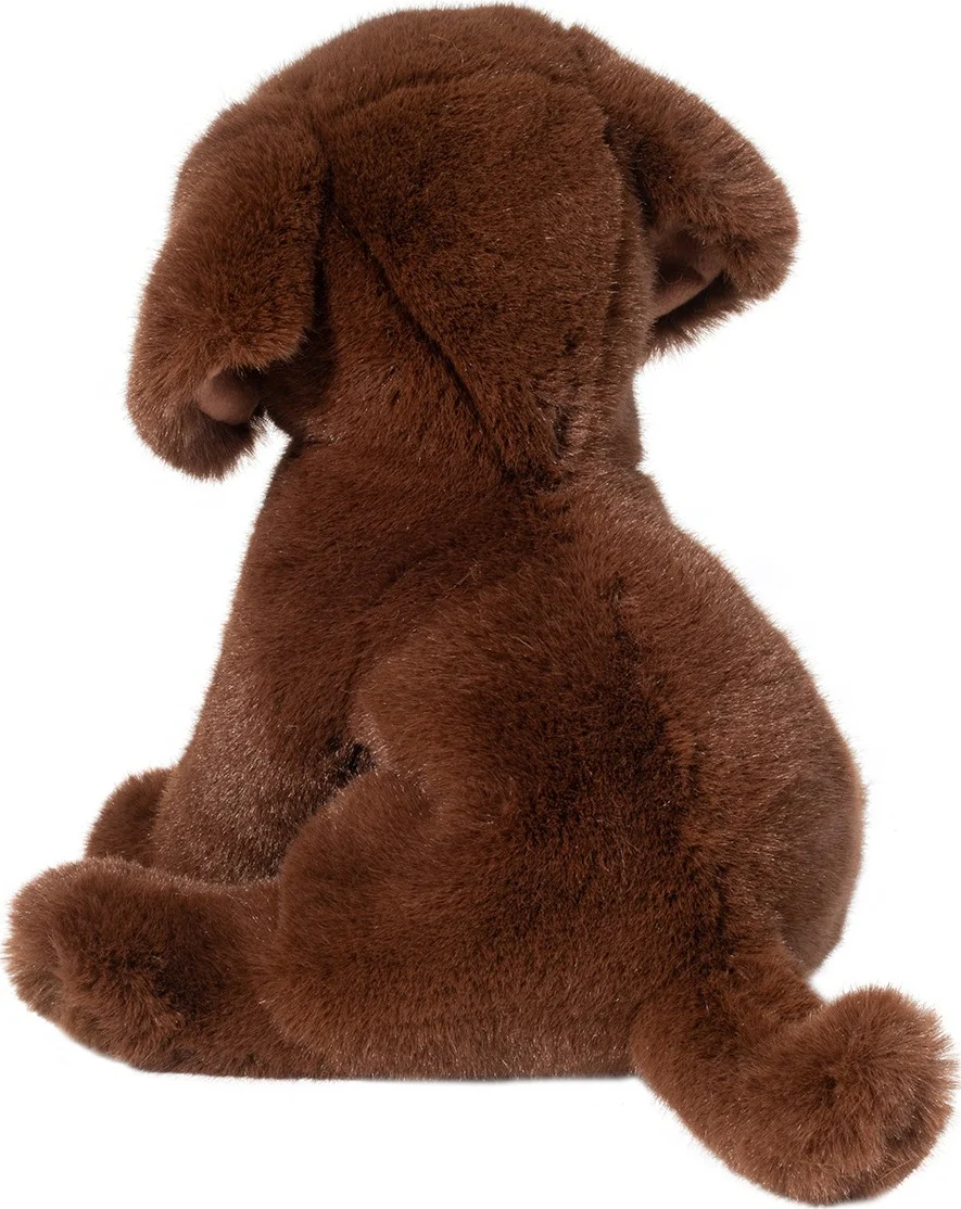 Zoom Chocolate Lab - Image 3