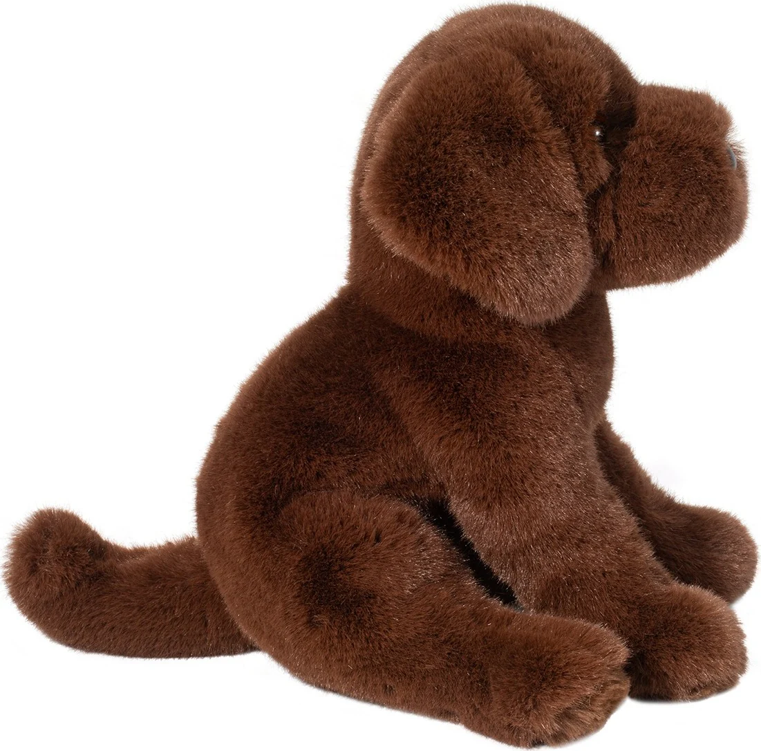 Zoom Chocolate Lab - Image 4